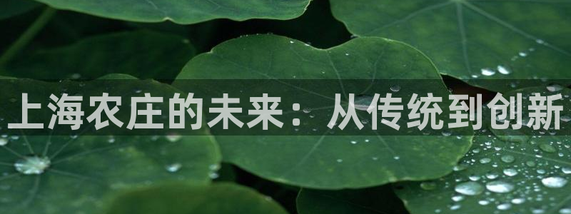 天辰娱乐平台app下载