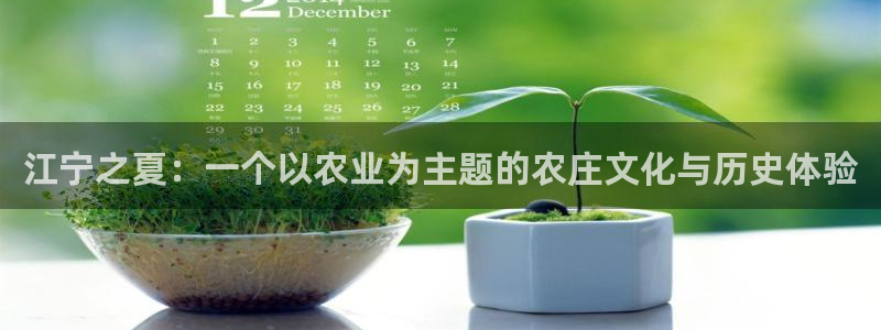 天辰娱乐1996