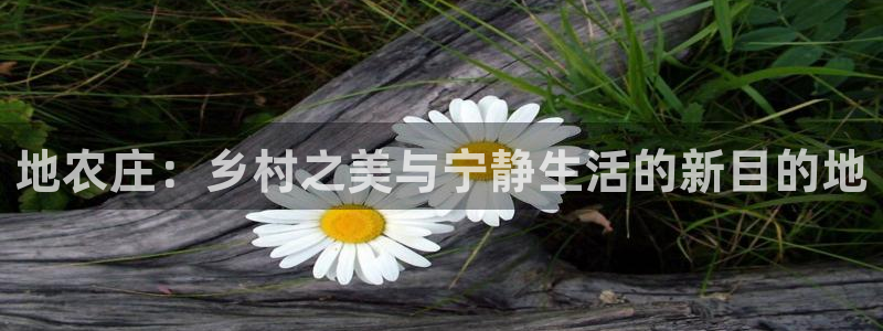哈尔滨天辰娱乐