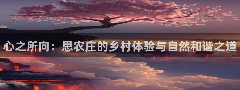 天辰娱乐服务