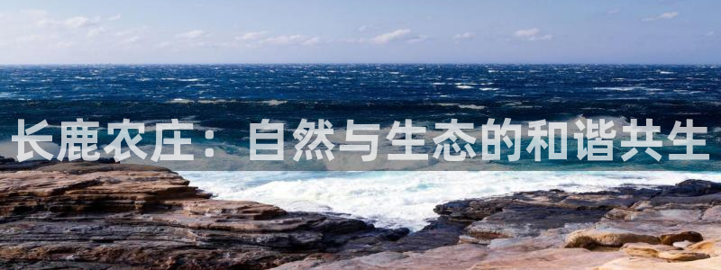 天辰娱乐登录网址