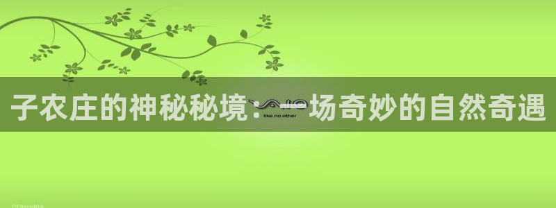 天辰娱乐 主管