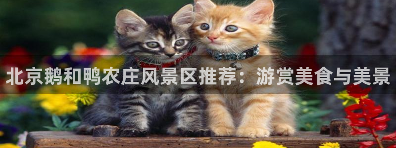 天辰娱乐平台