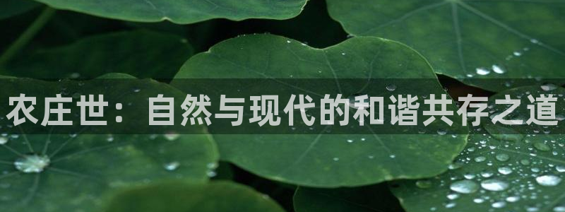 天辰娱乐说