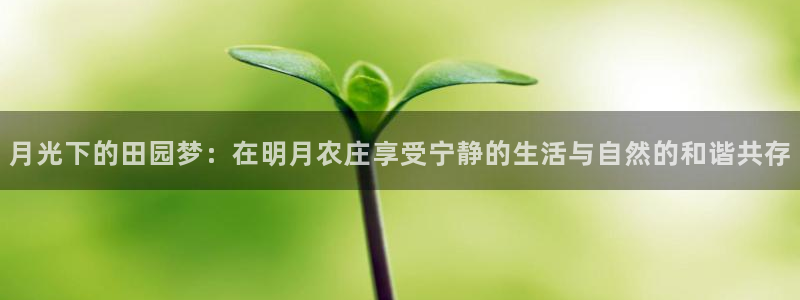 天辰娱乐61116