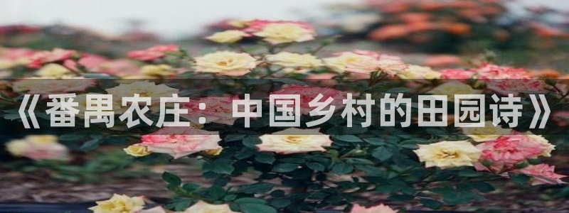 天辰娱乐557448
