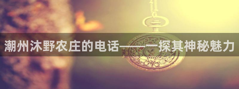 南充天辰娱乐