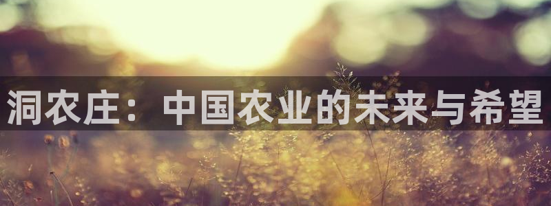 天辰娱乐10086