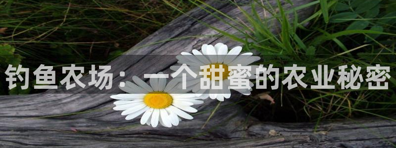 天辰娱乐十分彩
