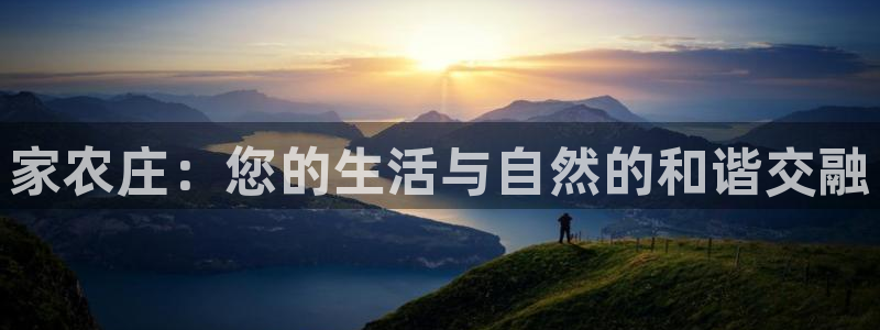 天辰娱乐675138