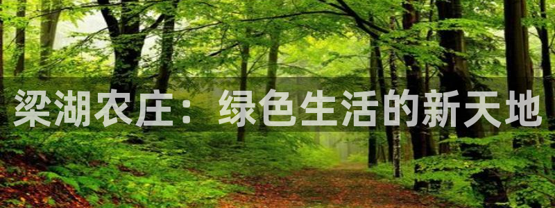 天辰娱乐链接
