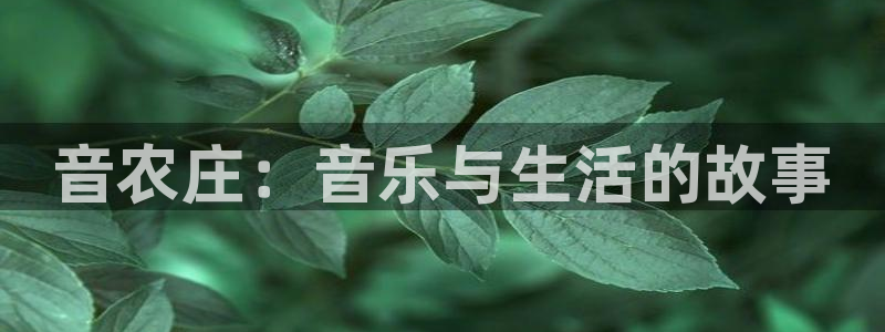 天辰娱乐下载链接