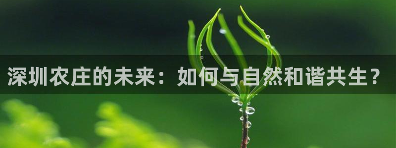 天辰娱乐ttf
