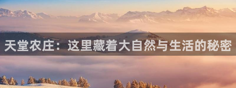 天辰娱乐入口