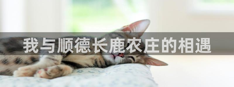 天辰娱乐软件