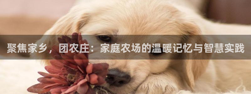 天辰娱乐待遇