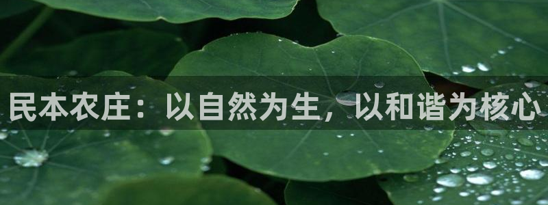 天辰娱乐登陆平台