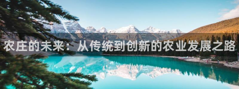 天辰娱乐675138