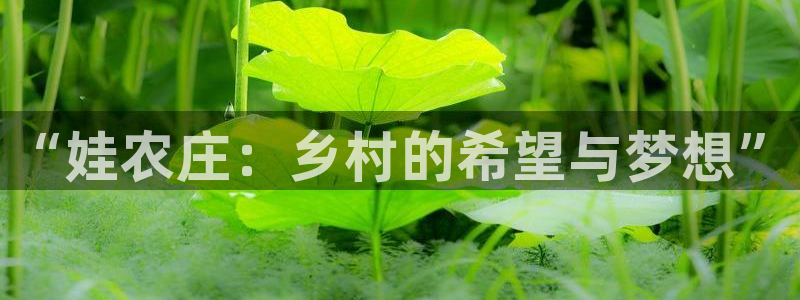 天辰娱乐 728567