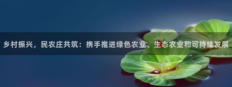 天辰娱乐首选