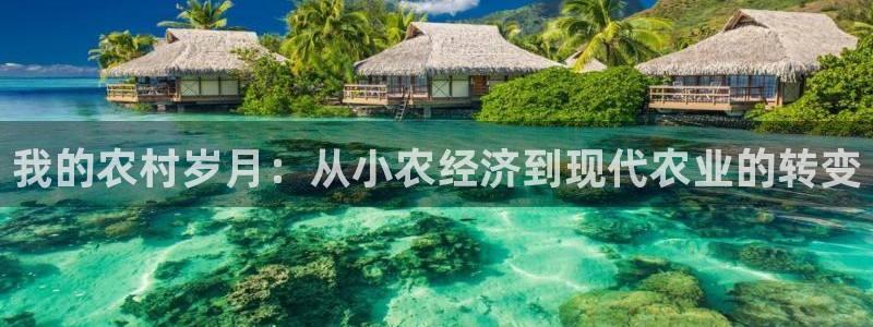 大庆天辰娱乐