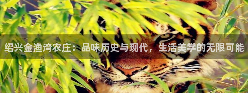天辰娱乐-q