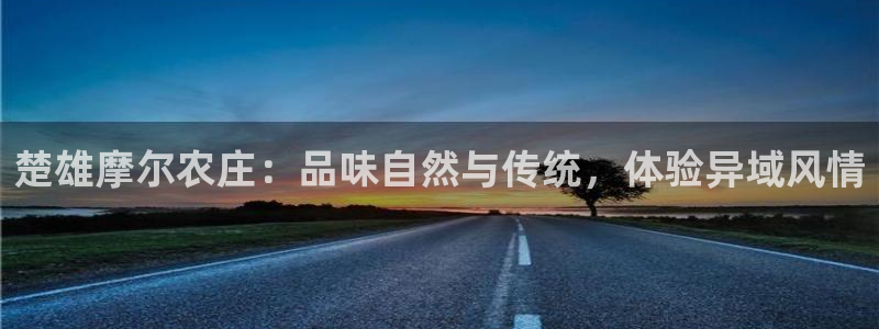 天辰娱乐视频