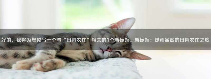 天辰娱乐的网址首页