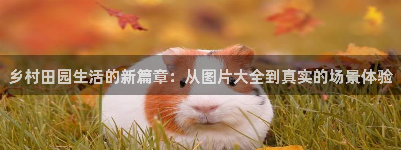 天辰娱乐服务