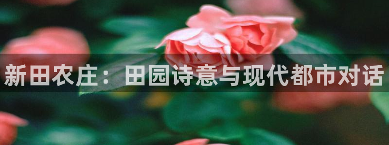 天辰娱乐1980