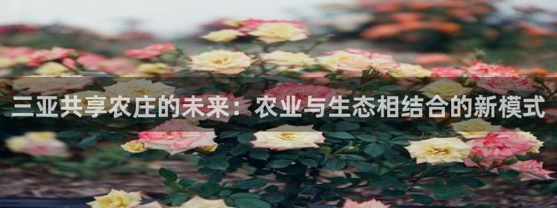 南京天辰娱乐