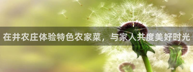 天辰娱乐文案