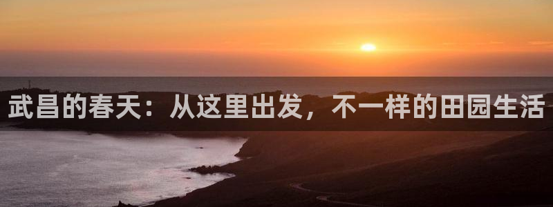 天辰娱乐小姐