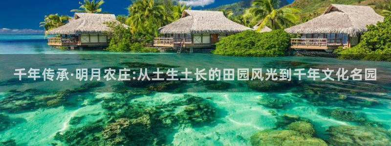 天辰娱乐电话