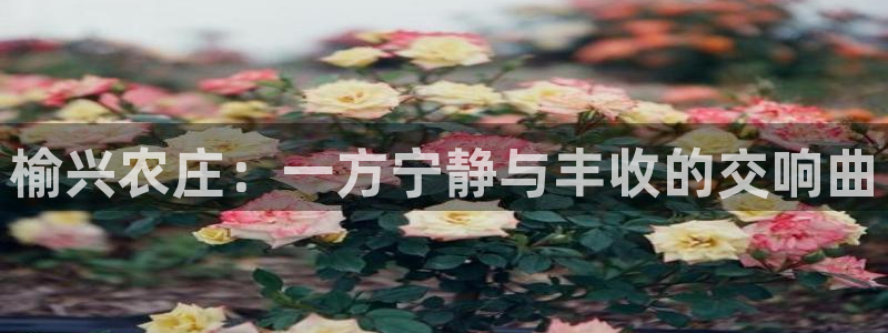 天辰娱乐的网址首页