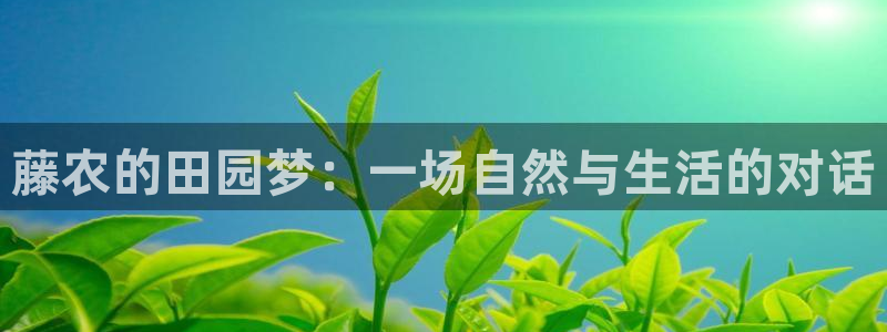 天辰娱乐待遇