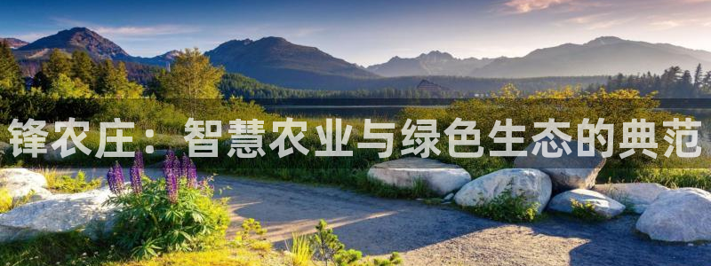 天辰娱乐885544