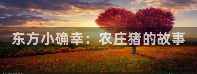 天辰娱乐十分彩