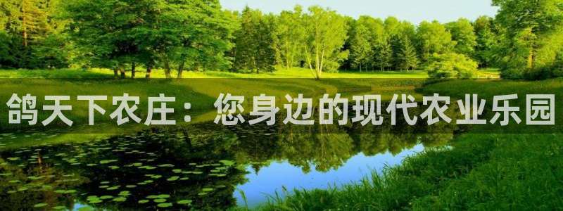 天辰娱乐游客