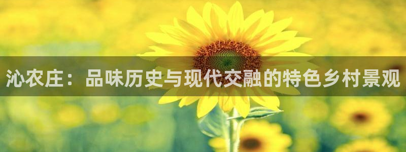 天辰娱乐 849852