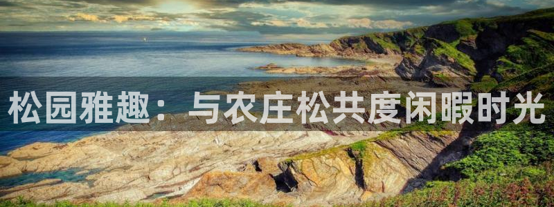 天辰娱乐下载地址