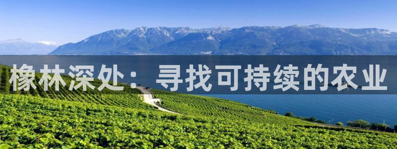天辰娱乐60447