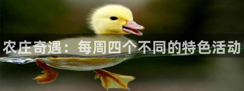 天辰娱乐首页