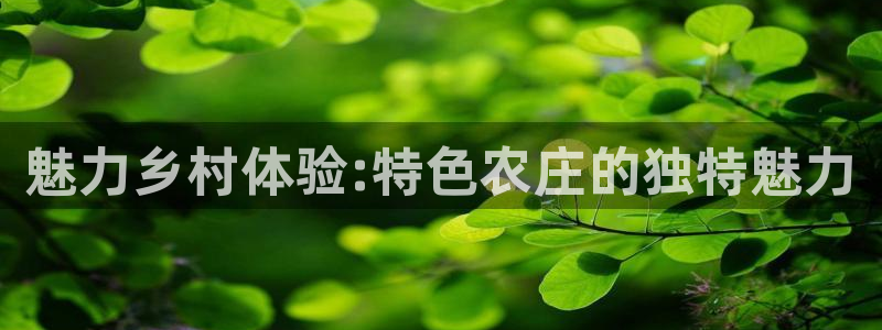 天辰娱乐平台地址