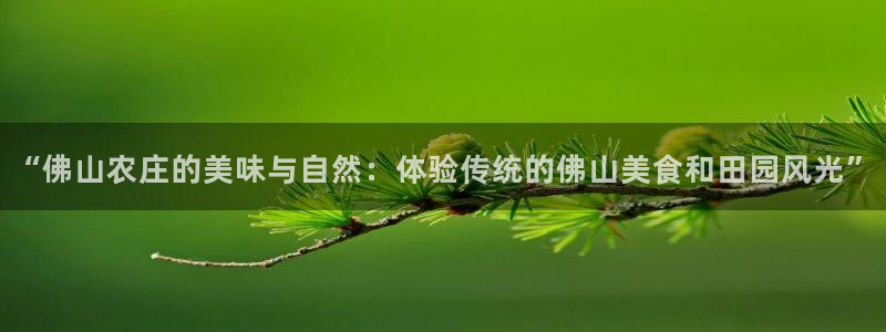 天辰娱乐下载地址