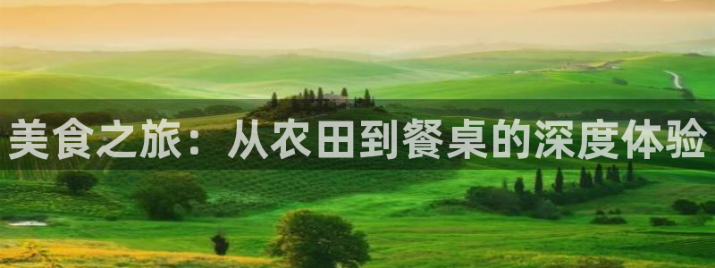 天辰娱乐平台登录账号