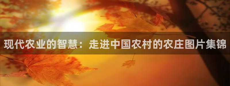 手机上怎么下载天辰娱乐