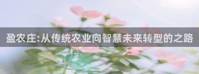 天辰娱乐天辰宝