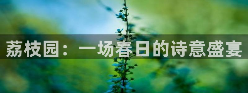 天辰娱乐官网平台入口