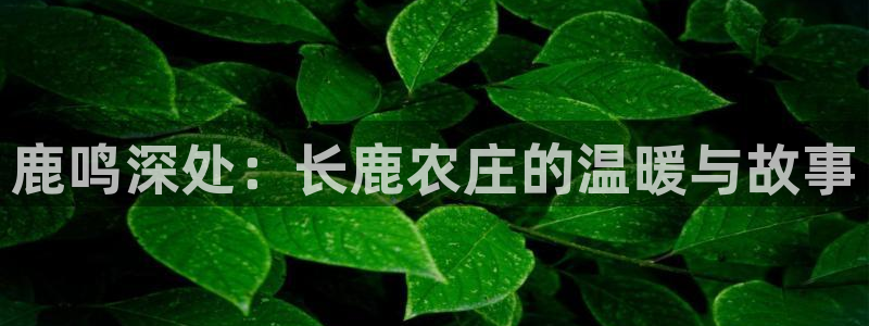 下载天辰娱乐